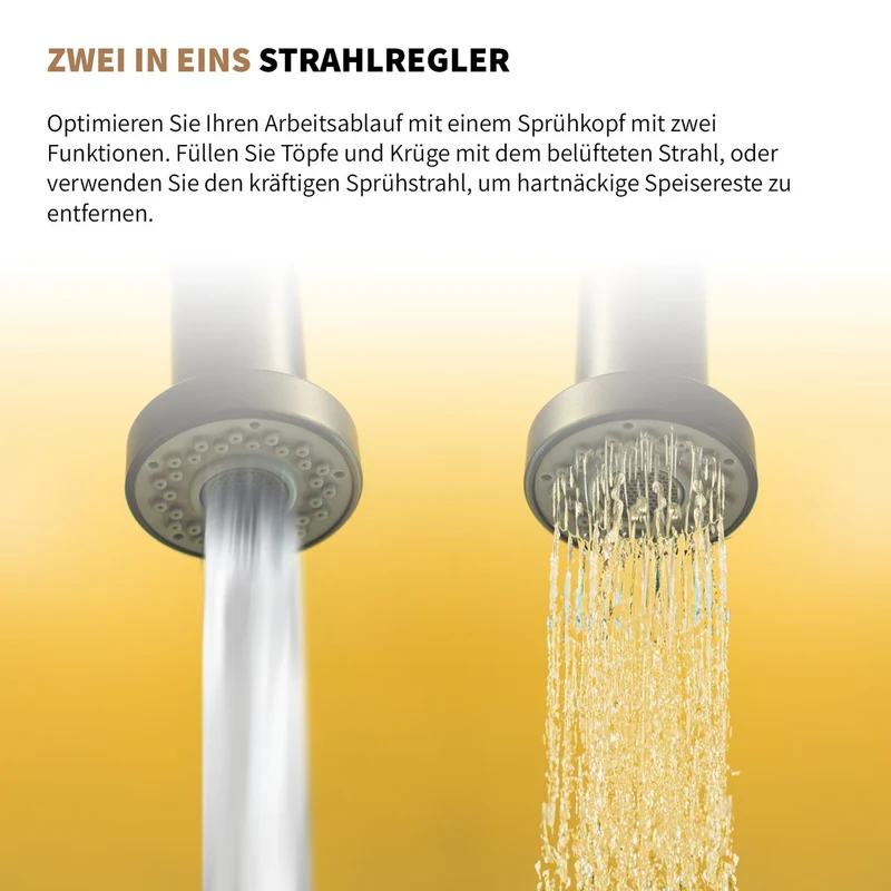 Rosenhahn & Söhne Sylt 200 Küchenarmatur mit Brause- 360° drehbarer Wasserhahn Küche - Armatur Küche schwarz - 2-fach verstellbare Spültischarmatur - Brause & Strahl - Anschlussschläuche