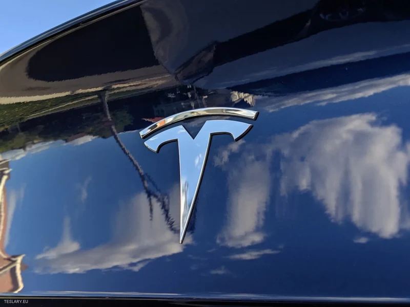 Tesla Model 3 / Y Hecklogo Schwarz, Carbon, Chrom, Rot