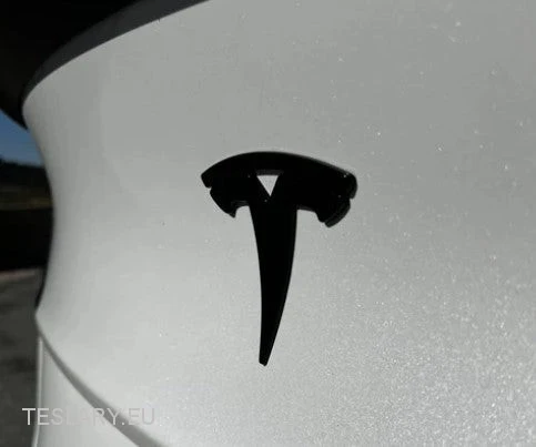 Tesla Model 3 / Y Hecklogo Schwarz, Carbon, Chrom, Rot
