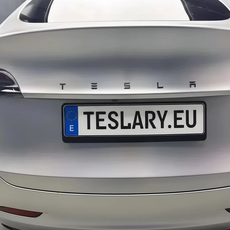 ABS 3D TESLA-Buchstaben – Neues Logo-Design für Ihren Tesla Model 3 YSX
