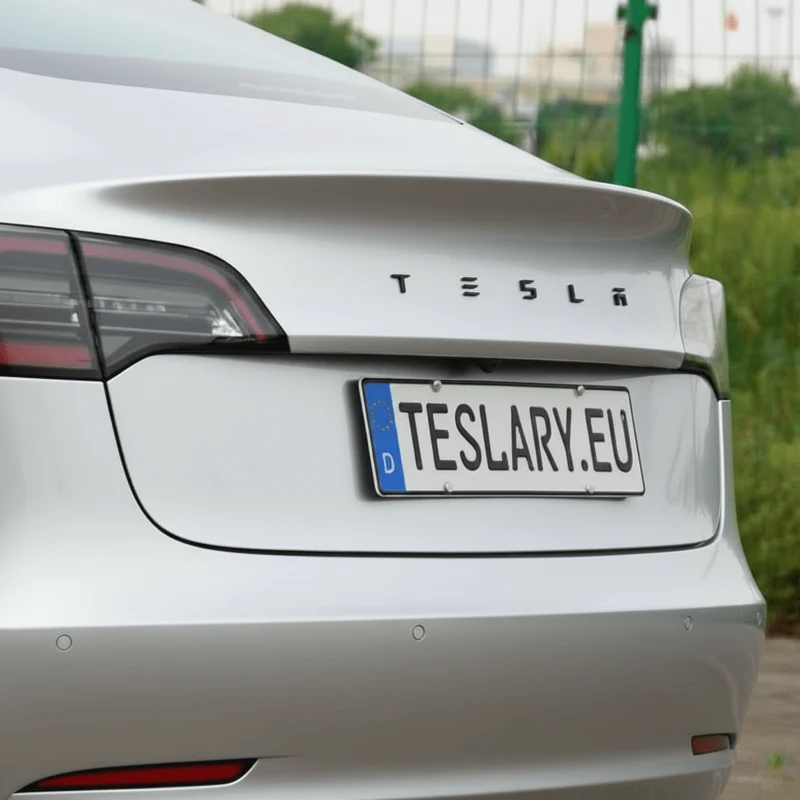 ABS 3D TESLA-Buchstaben – Neues Logo-Design für Ihren Tesla Model 3 YSX