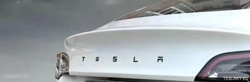 ABS 3D TESLA-Buchstaben – Neues Logo-Design für Ihren Tesla Model 3 YSX