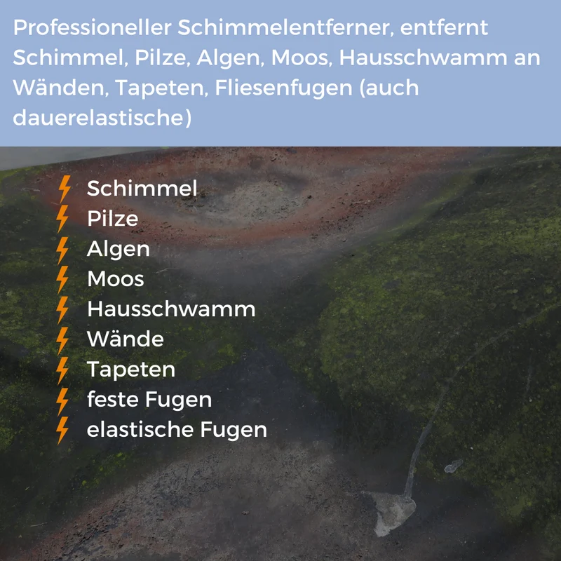 Schimmel Stop Schimmelentferner für Bad, Wand und Fugen 500 ml