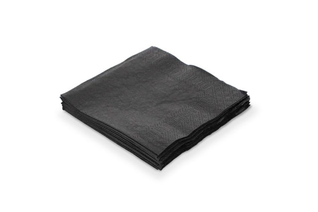 Serviette 2 Lagen Papier 1/4 Fold 24x24cm Schwarz (4.000 Stück) [TK-9987861]