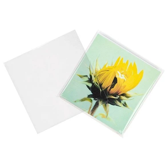 Umweltfreundliche Beutel Bioplastik 17x16.7cm Transparent (100 Stück) [GC6X6MNF]