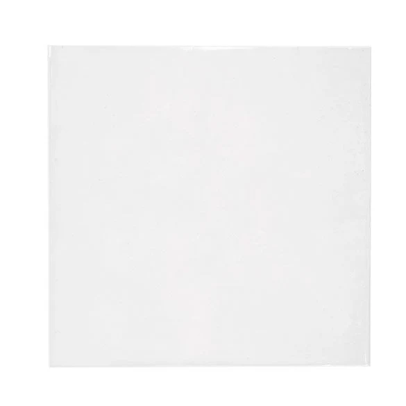 Umweltfreundliche Beutel Bioplastik 17x16.7cm Transparent (100 Stück) [GC6X6MNF]
