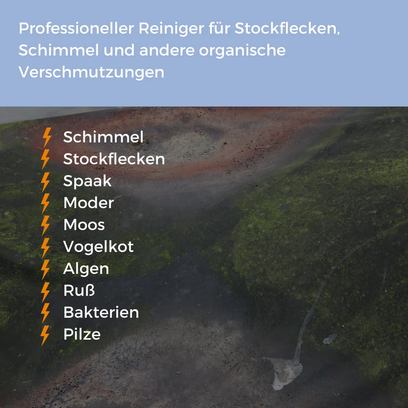 Schimmalgin Spezial Schimmelentferner 5 L