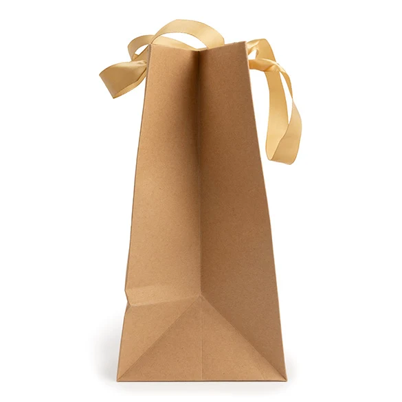 Geschenkbeutel Kraft mit Sichtfenster 17,8x12,7x24,9 cm (10 Stück) [GMBW2K]