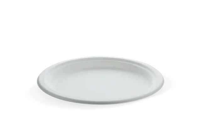Teller Zuckerrohr Ø22.5cm (500 Stück) [TK-9988103]