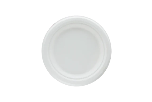 Teller Zuckerrohr Ø17.5cm (1.000 Stück) [TK-9988102]