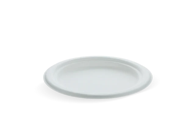 Teller Zuckerrohr Ø17.5cm (1.000 Stück) [TK-9988102]