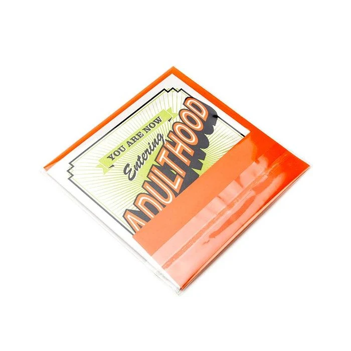 Plastikbeutel 12x12 cm Transparent & Wiederverschließbar (100 Stück) [KO-301212]