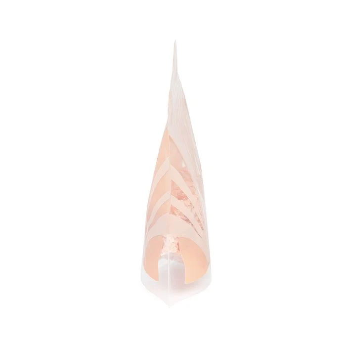 Standbodenbeutel Form der Schale 19,1x7,6x18,4 cm (100 Stück) [SP7SHZ]