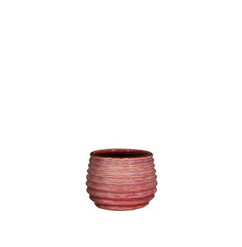 Topf Rosa Karmin Rise Ø6,5 x h: 8 cm (12 Stück) [IFS-33982]