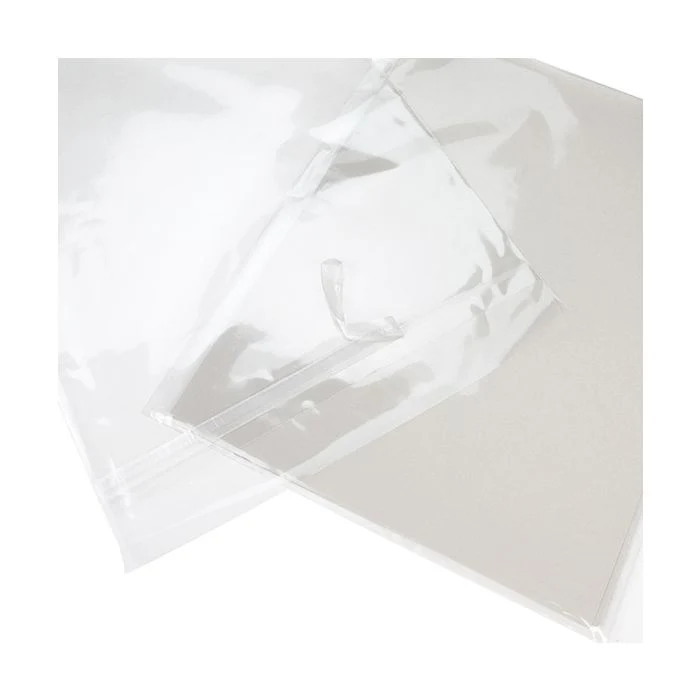 Umweltfreundliche Beutel 24x31.1 cm Transparent mit Schutzverschluss (100 Stück) [GC9PC]