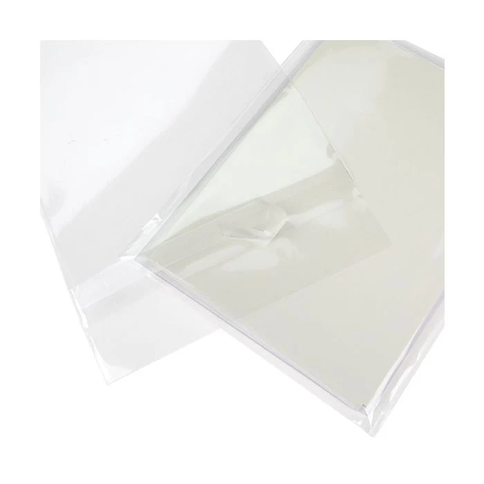 Umweltfreundliche Beutel 15.1x19.7 cm Transparent mit Schutzverschluss (100 Stück) [GC7B3PC]