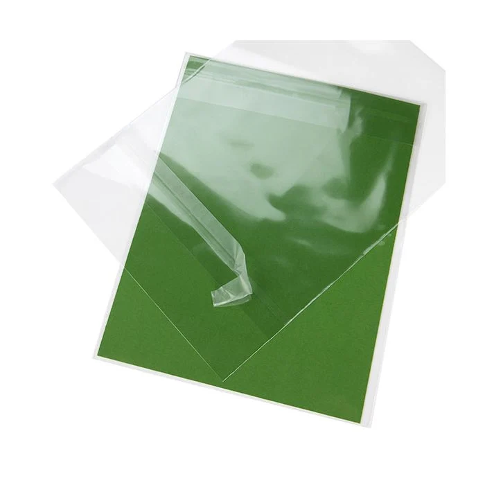 Umweltfreundliche Beutel 13.8x17.8 cm Transparent mit Schutzverschluss (100 Stück) [GC6B3PC]