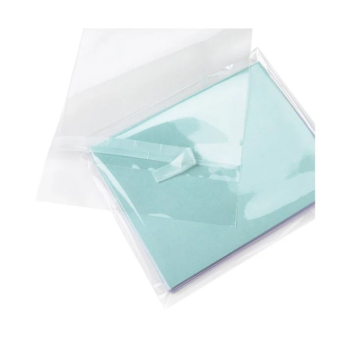 Umweltfreundliche Beutel 13x17.1 cm Transparent mit Schutzverschluss (100 Stück) [GC6B2PC]