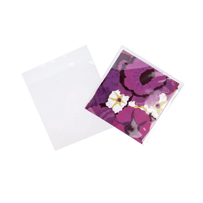 Umweltfreundliche Beutel 15.9x15.9 cm Transparent mit Schutzverschluss (100 Stück) [GC66PC]