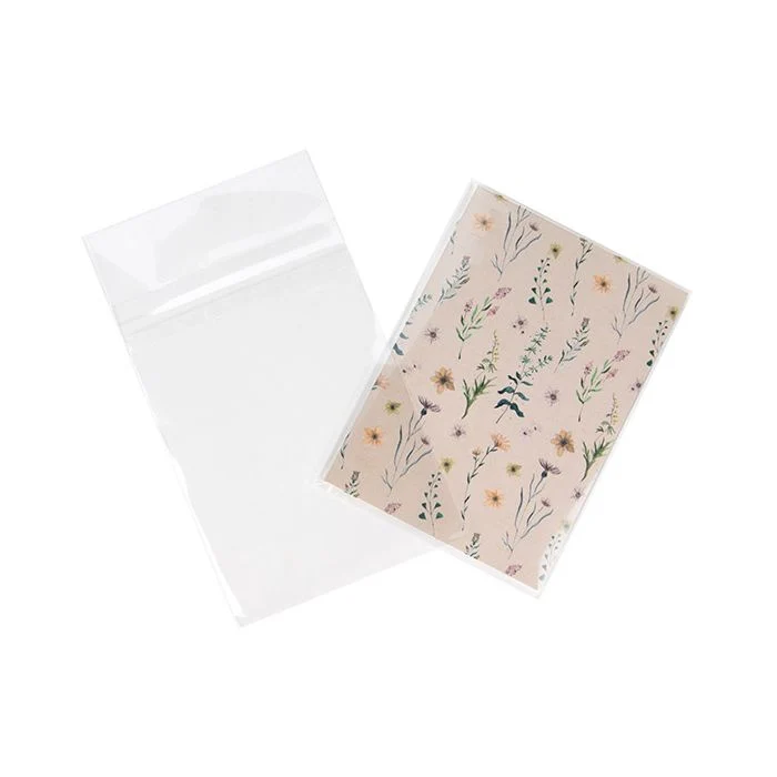 Umweltfreundliche Beutel 10.3x13.7 cm Transparent mit Schutzverschluss (100 Stück) [GC4B1PC]