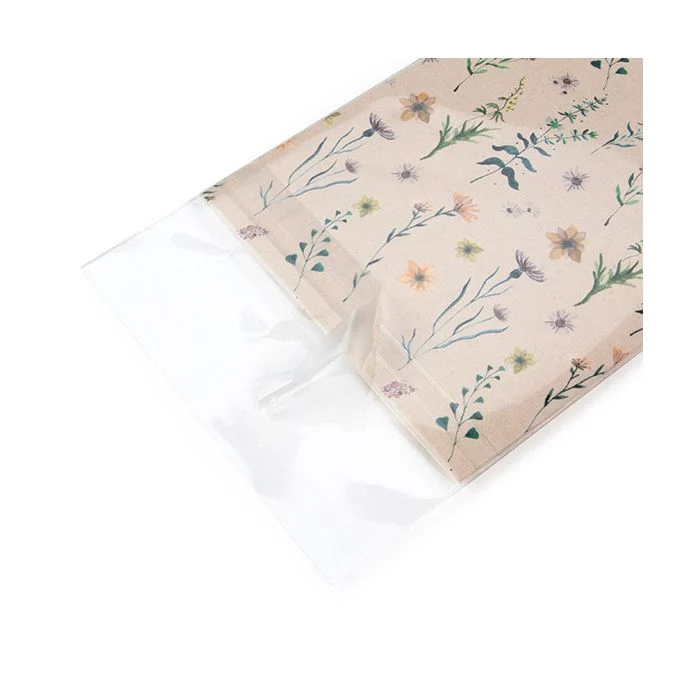 Umweltfreundliche Beutel 10.3x13.7 cm Transparent mit Schutzverschluss (100 Stück) [GC4B1PC]