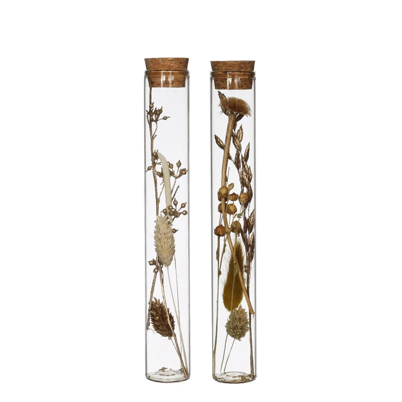 Glasröhre mit Trockenblumen Natur Ø3x20cm (12 Stück) [IFS-30344]