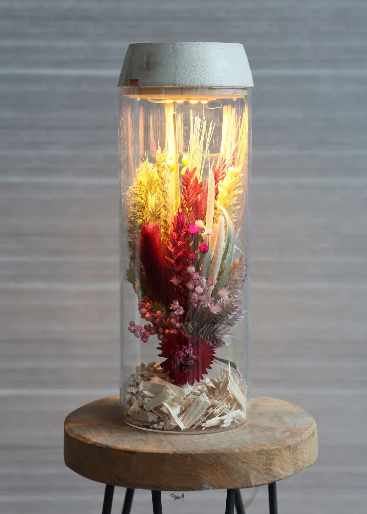 Glaszylinder mit LED im Holzdeckel | H: 23cm (1 Stück) [IFS-30181]