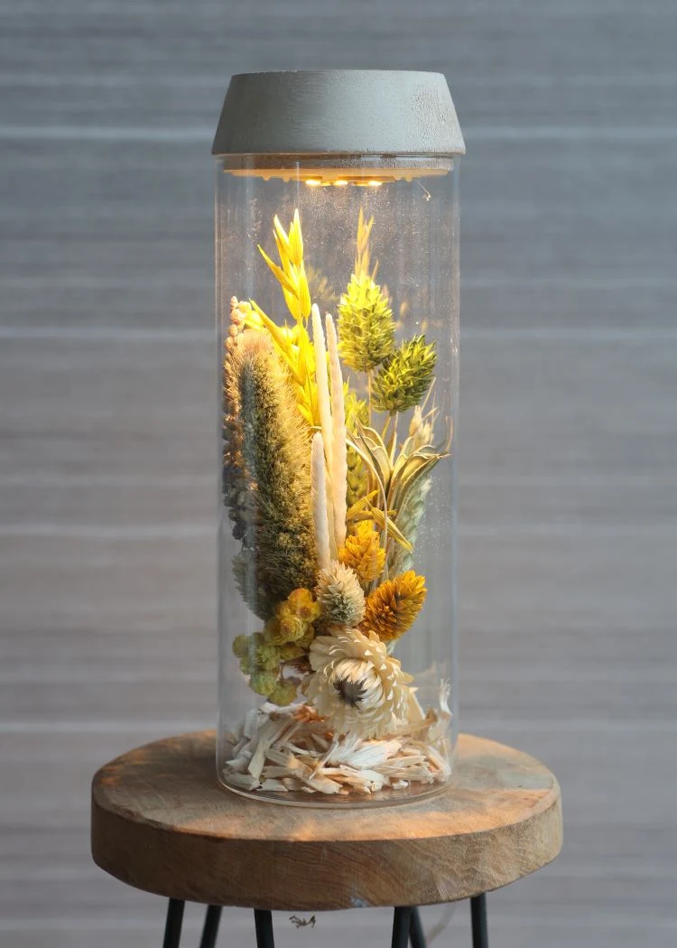 Glaszylinder mit LED im Holzdeckel | H: 23cm (1 Stück) [IFS-30181]