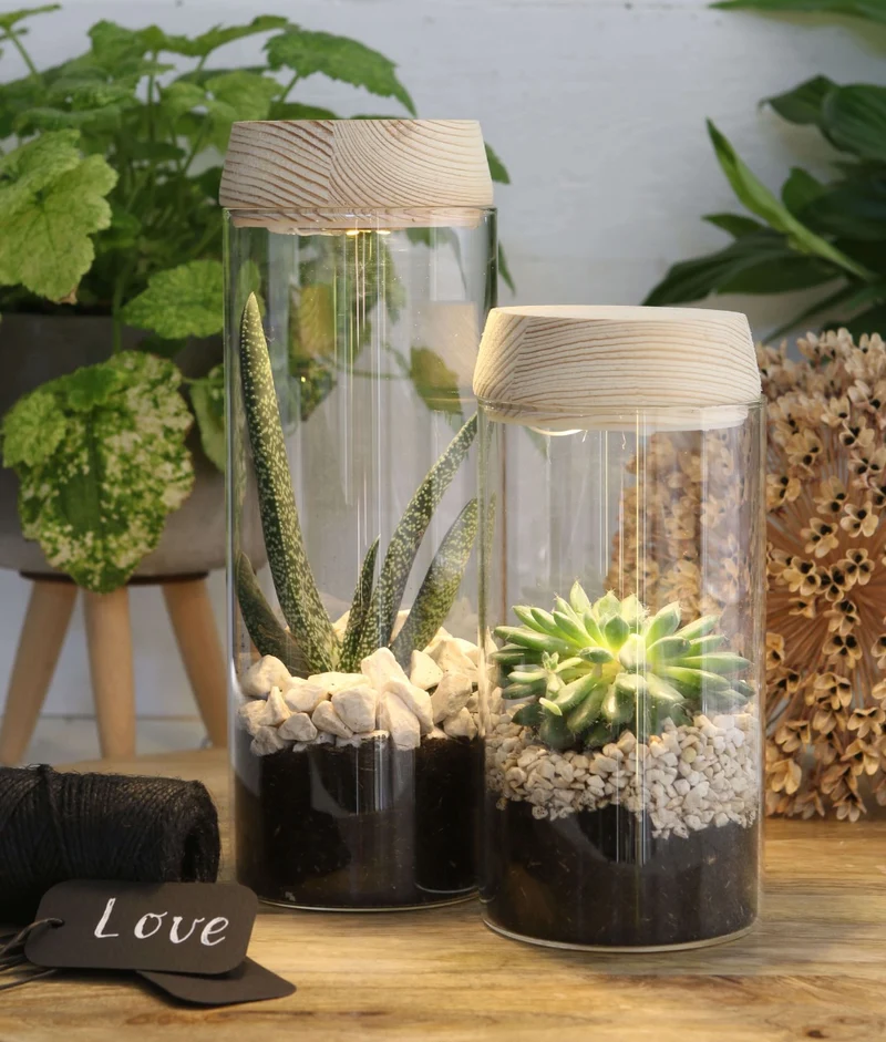 Glaszylinder mit LED im Holzdeckel | H: 18cm (1 Stück) [IFS-30180]