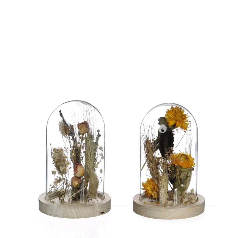 Glasgefäß mit Trockenblumen Natur Ø8cm (1 Stück) [IFS-29838]