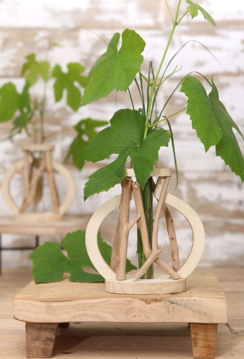 Reagenzglas mit Ständer aus recyceltem Holz Groß 14x7x18.5cm (1 Stück) [IFS-29645]