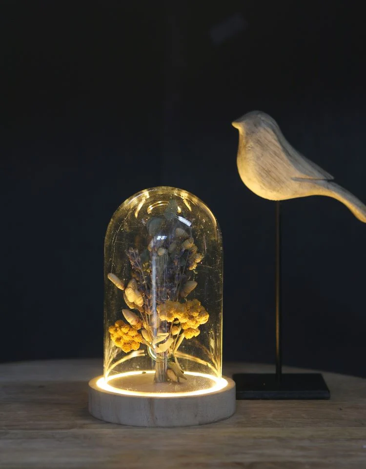LED-Glasgefäße mit Holzsockel Ø10cm (1 Stück) [IFS-29498]