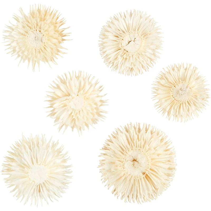 Getrocknete Blütenköpfe, D 3-5 cm, 6 Stk/ 1 Pck [HOB-50204]