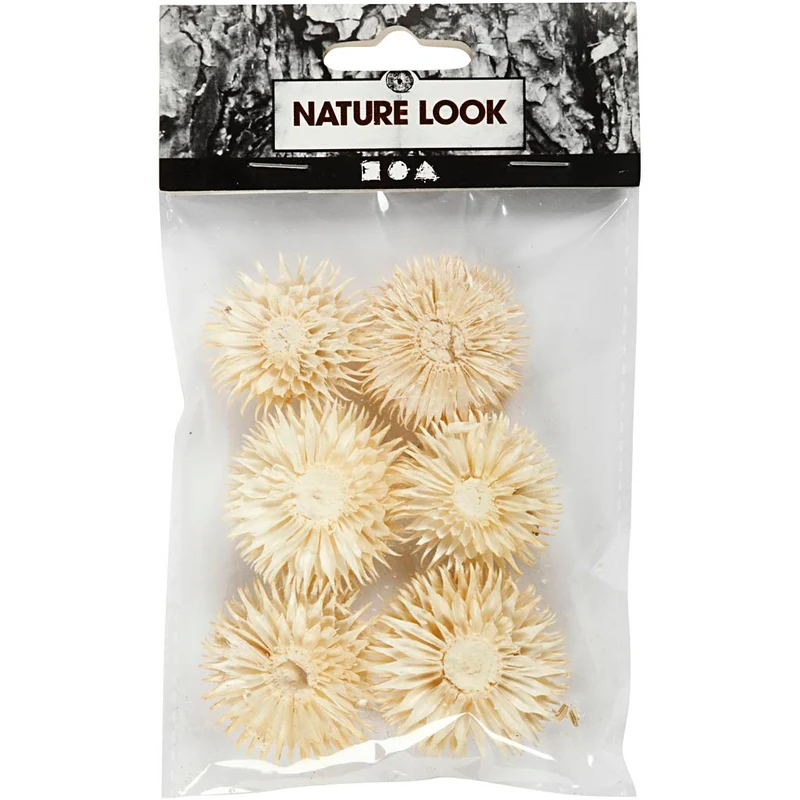 Getrocknete Blütenköpfe, D 3-5 cm, 6 Stk/ 1 Pck [HOB-50204]