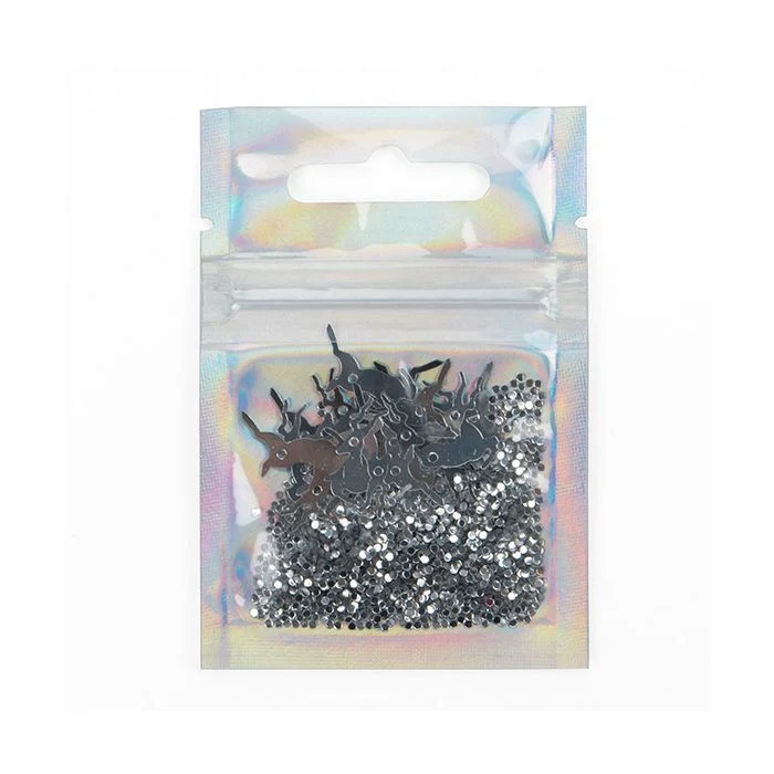 Druckverschlussbeutel Holografisch/Transparent 5.1x5.1cm (25 Stück) [HZBB9CH]