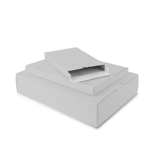 Versandkartons 16x25x2.9cm Silber (100 Stück) [FP-VPD013]