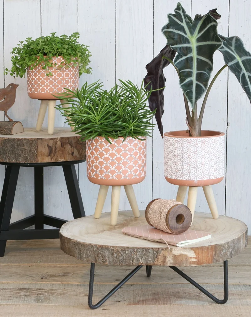 Blumentöpfe Terra-Zement mit Holzbeinen | H: 18cm (6 Stück) [IFS-33004]