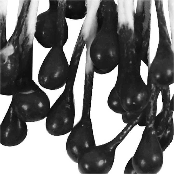 Blütenstaubblätter, L 6,4 cm, D 2 mm, Schwarz, 100 Stk/ 1 Pck [HOB-610354]