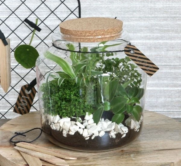 Glasgefäß mit Kork 18x18cm (1 Stück) [IFS-29452]