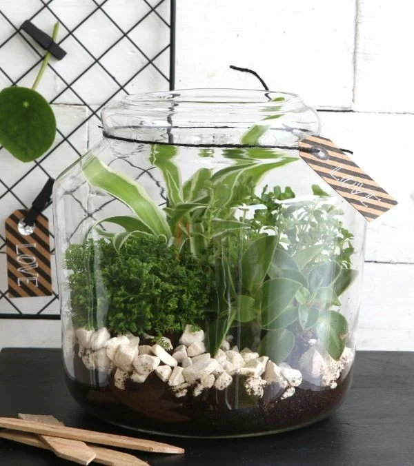Glasgefäß mit Kork 18x18cm (1 Stück) [IFS-29452]