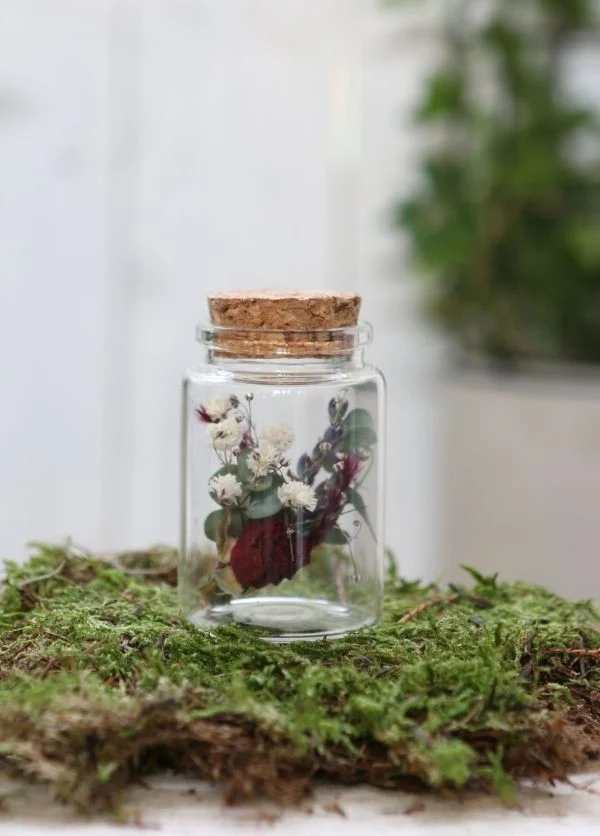 Stockzylinder mit Korken Ø4.5cm | H: 7.5cm (12 Stück) [IFS-29145]