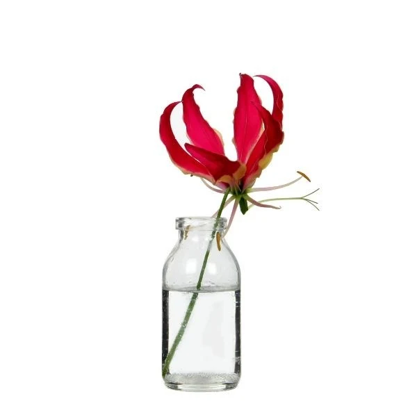 Glasflasche 100ml 10.5x5cm (32 Stück) [IFS-28072]