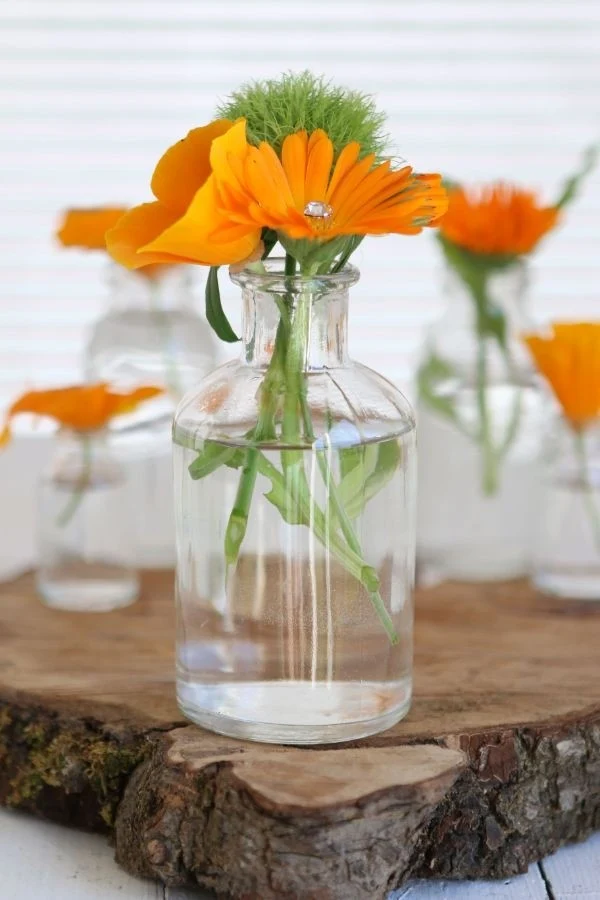 Glasflasche Ø7 h: 12 cm Transparent (20 Stück) [IFS-129196]