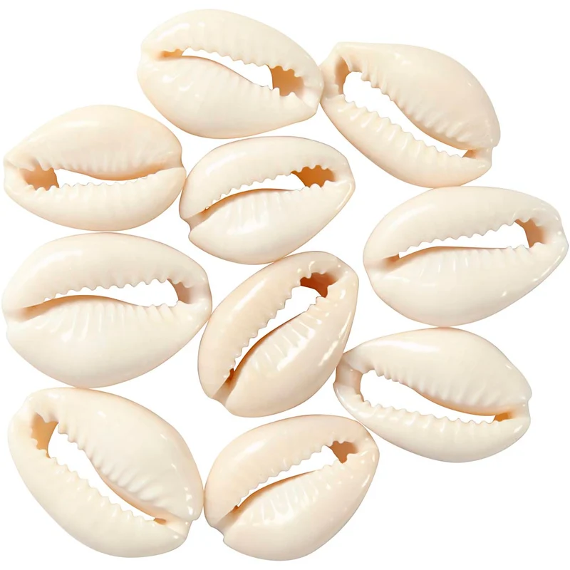 Muschelperlen, L 20 mm, Natur, 12 Stk/ 1 Pck [HOB-61016]