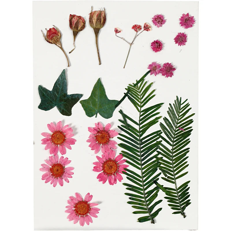 Gepresste Blüten und Blätter, ca. 19 Stk, Rosa, 1 Pck [HOB-504471]