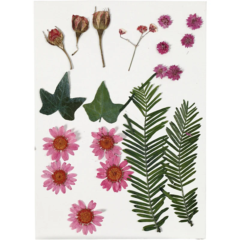 Gepresste Blüten und Blätter, ca. 19 Stk, Rosa, 1 Pck [HOB-504471]