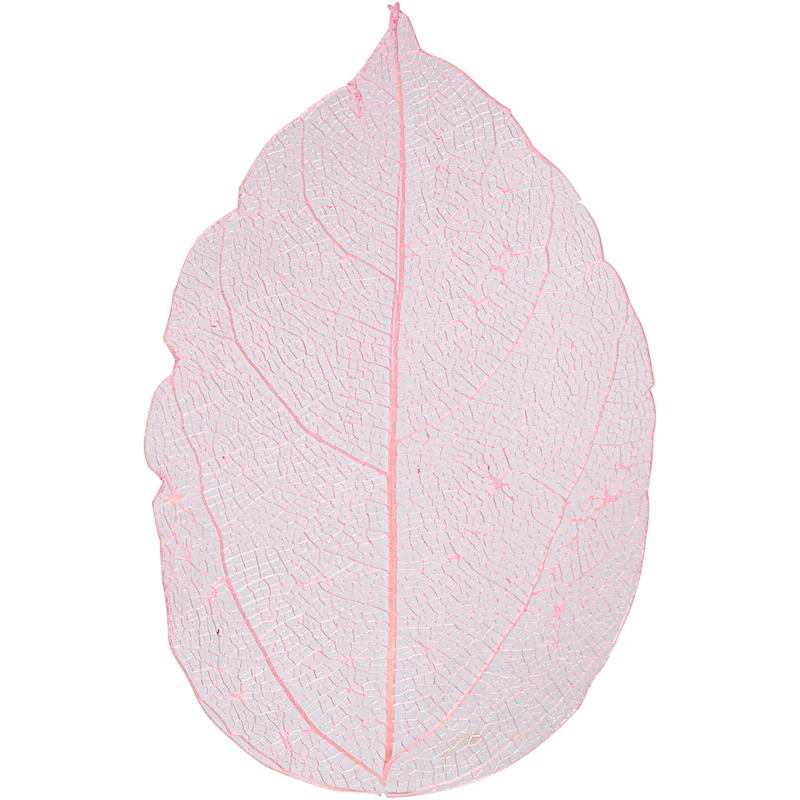 Laubblätter, L 6-8 cm, Rosa, 20 Stk/ 1 Pck [HOB-504496]