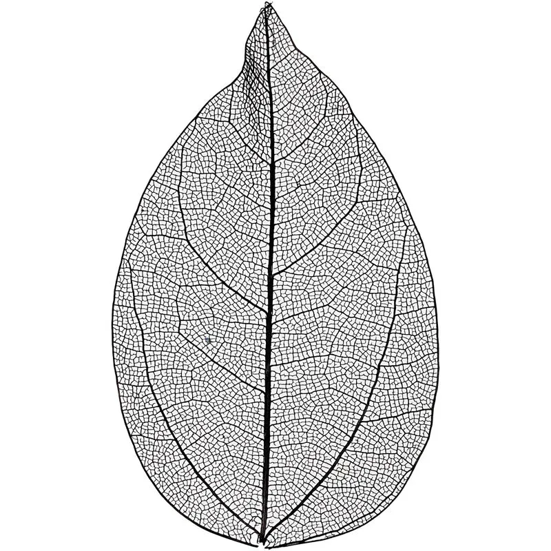 Laubblätter, L 6-8 cm, Schwarz, 20 Stk/ 1 Pck [HOB-504494]