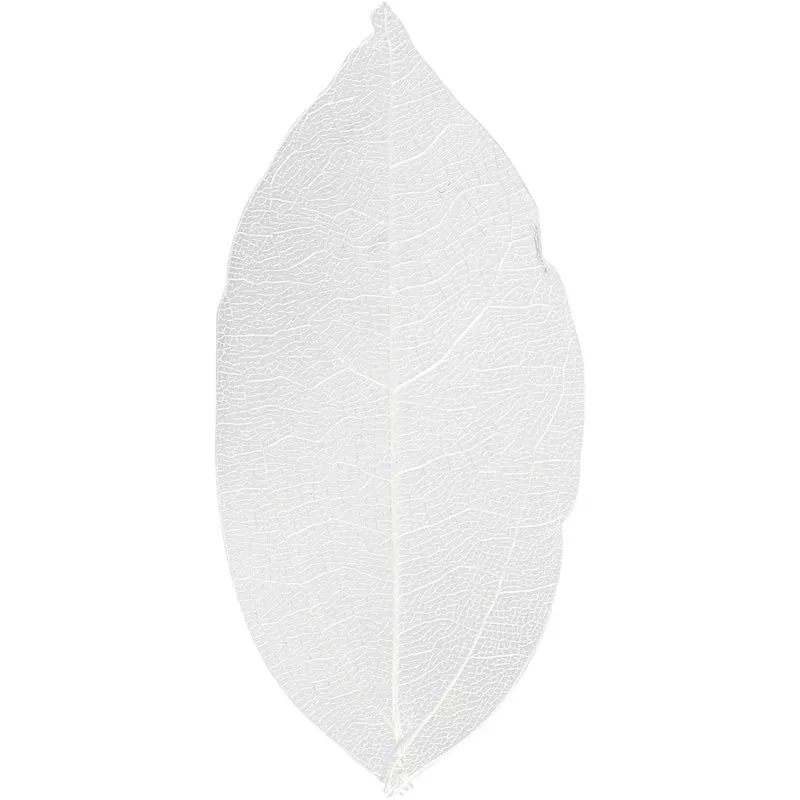 Laubblätter, L 6-8 cm, Weiß, 20 Stk/ 1 Pck [HOB-504491]