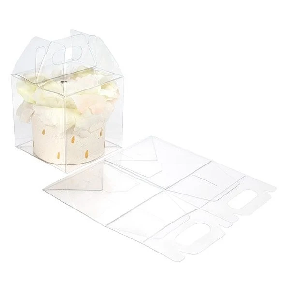 Klarsichtschachteln 10.2x10.2x10.2cm Transparent (25 Stück) [FPLB57]